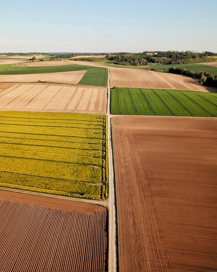 From above of farmland with assorted bright plantations under sky with horizon line in summertime